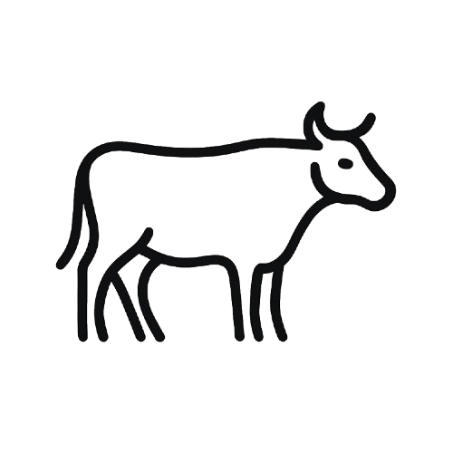 گاوی